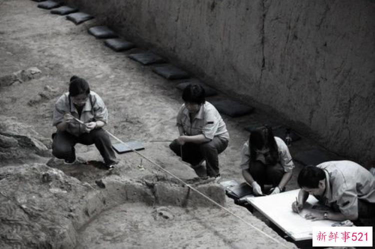 我们为什么越来越反感西方考古，西方的考古让人无语