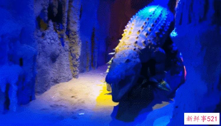 现实版侏罗纪公园来了闽侯南通新开3000考古馆陪娃过暑假