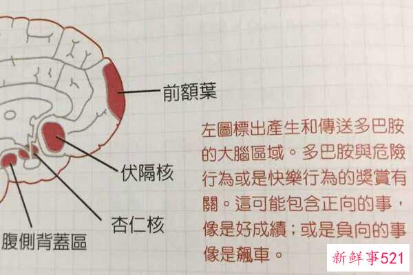 小苏打怎么做发泡胶？搅拌五种成分(也可以用剃须泡沫)