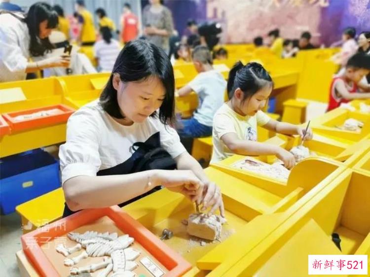 现实版侏罗纪公园来了闽侯南通新开3000考古馆陪娃过暑假