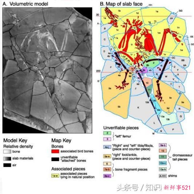 中国的古生物学家，生物学家名人小故事
