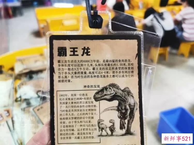 现实版侏罗纪公园来了闽侯南通新开3000考古馆陪娃过暑假