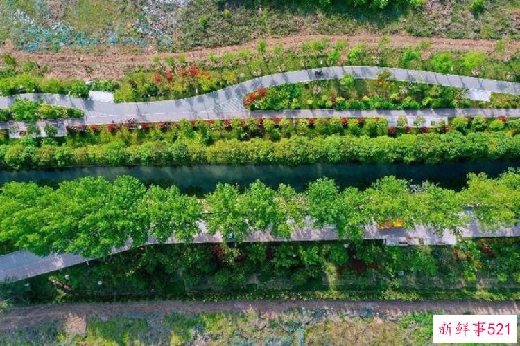 西安高新区绿城项目，西安高新三期软件新城