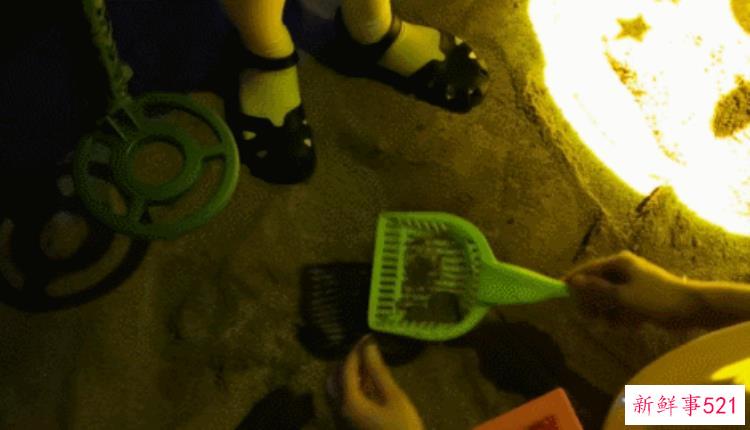 现实版侏罗纪公园来了闽侯南通新开3000考古馆陪娃过暑假