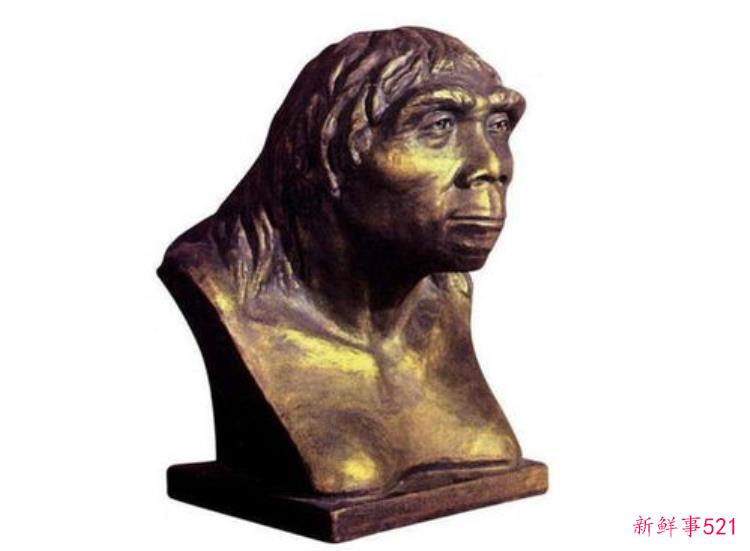 元谋人和山顶洞人在一起，元谋人和山顶洞人哪个出现的早