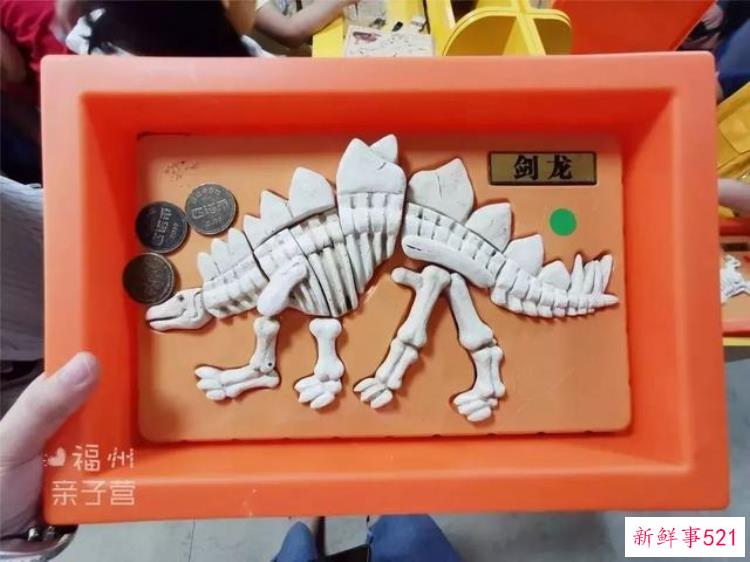 现实版侏罗纪公园来了闽侯南通新开3000考古馆陪娃过暑假