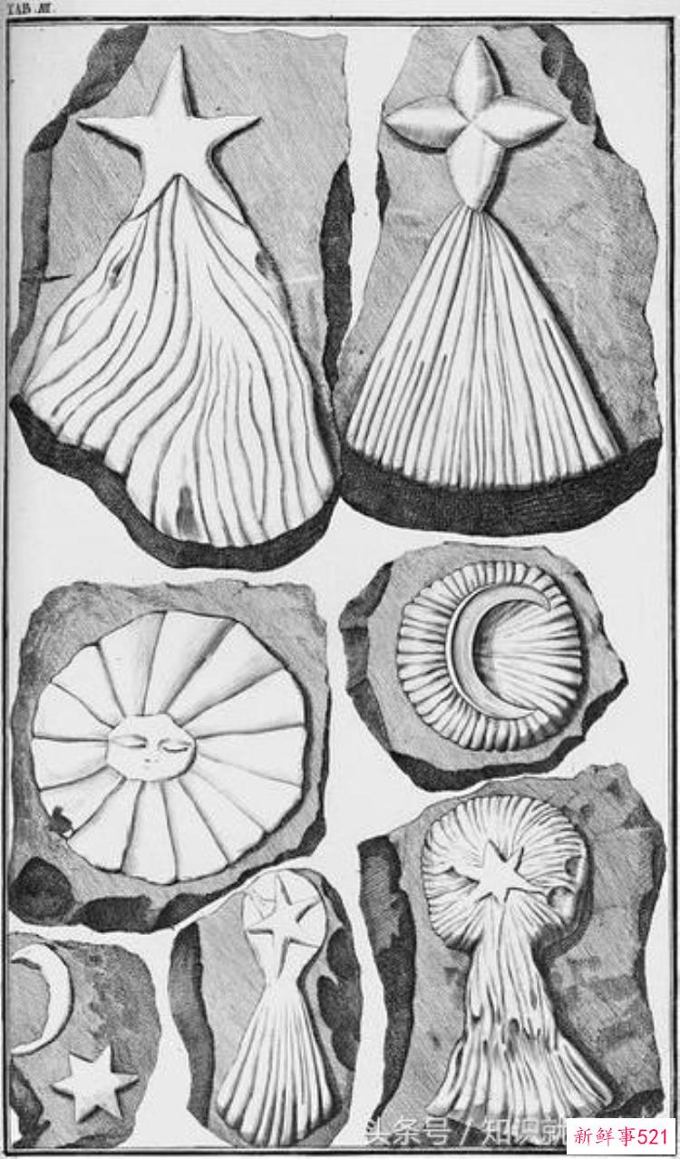 中国的古生物学家，生物学家名人小故事