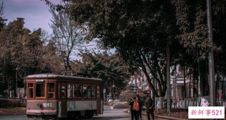 去大邑解锁宝藏城市