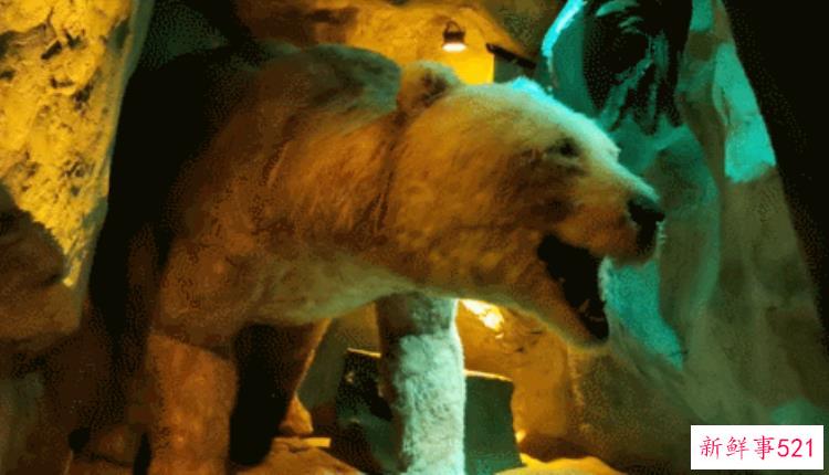 现实版侏罗纪公园来了闽侯南通新开3000考古馆陪娃过暑假