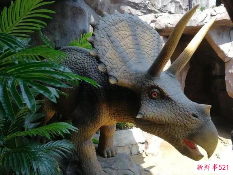 现实版侏罗纪公园来了闽侯南通新开3000考古馆陪娃过暑假