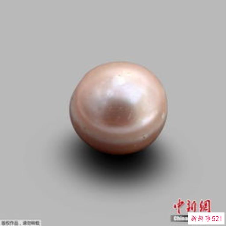 考古学家在研究和挖掘最新发现的遗址，考古发现史前高楼建筑