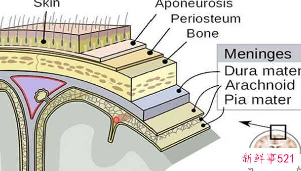 人最痛苦的是什么？揭秘人世间最痛苦的10件事