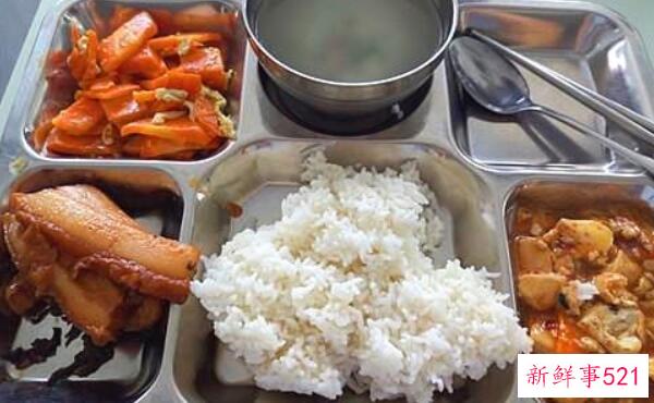 厨余垃圾处理器的缺点 容易堵塞下水道(废水电)