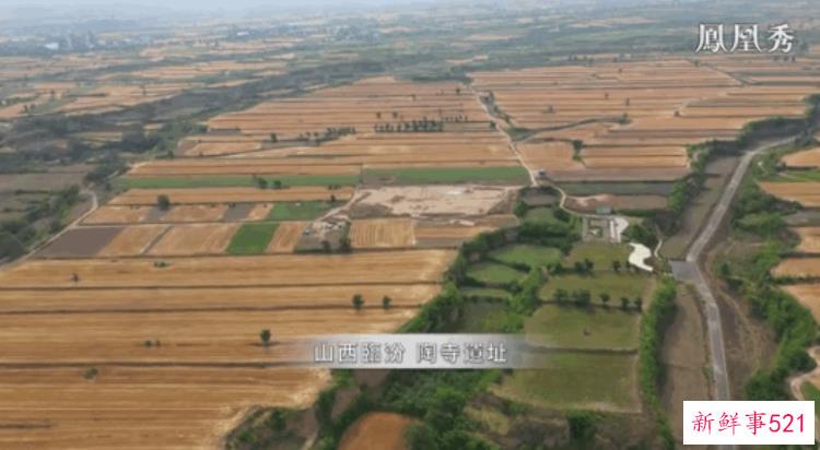 穿越千年的力证我们确是礼仪之邦丨陶寺遗址发掘纪实