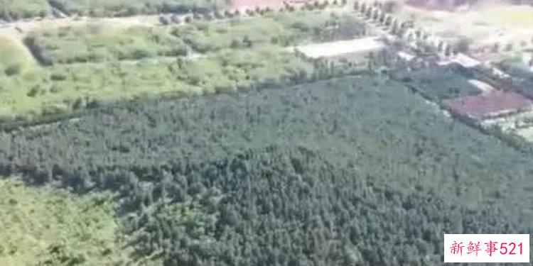 浙江古墓发掘，广东考古发掘用便携式考古检测仪