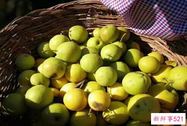 安国梨和南果梨的区别口感差别很大(南果梨更甜)