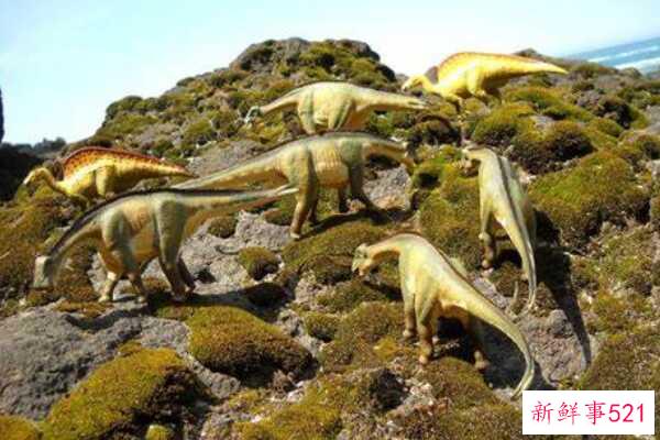 卡龙加龙-非洲巨人泰坦(9米长-仅出土牙齿)