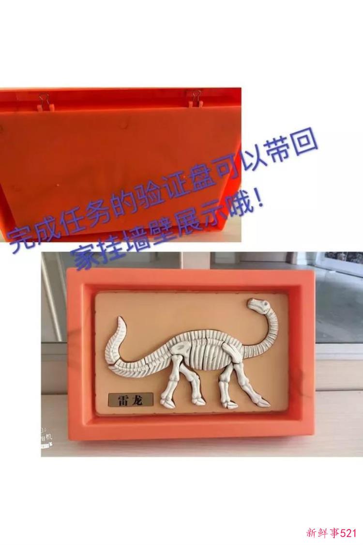 现实版侏罗纪公园来了闽侯南通新开3000考古馆陪娃过暑假