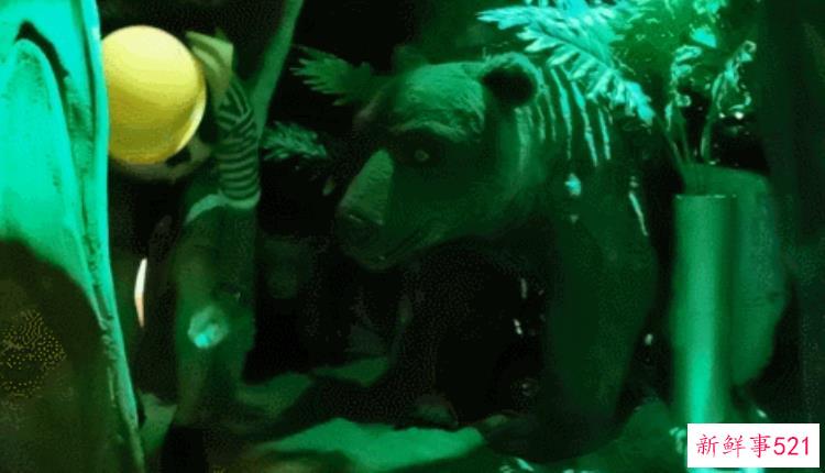 现实版侏罗纪公园来了闽侯南通新开3000考古馆陪娃过暑假