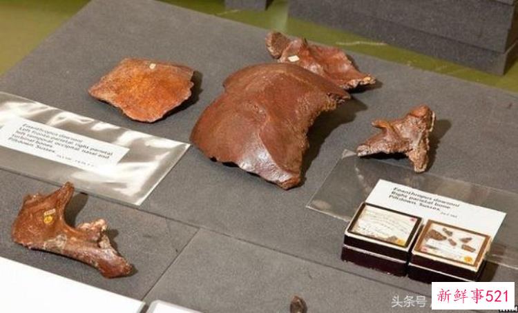 中国的古生物学家，生物学家名人小故事