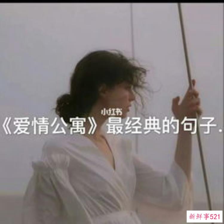 爱情公寓高情商经典语录，爱情公寓里的高情商句子