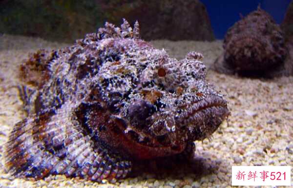 人最痛苦的是什么？揭秘人世间最痛苦的10件事