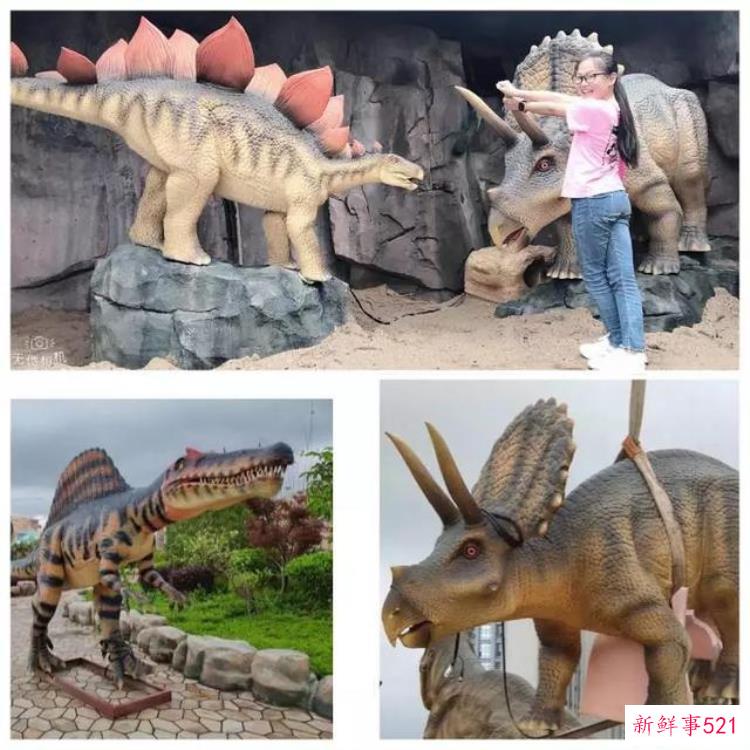 现实版侏罗纪公园来了闽侯南通新开3000考古馆陪娃过暑假