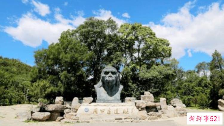 周口地区史前文化聚落遗址综述报告,周口遗址