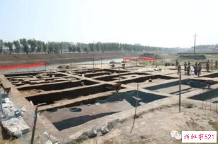 菏泽青邱堌堆遗址，菏泽青邱堌堆考古