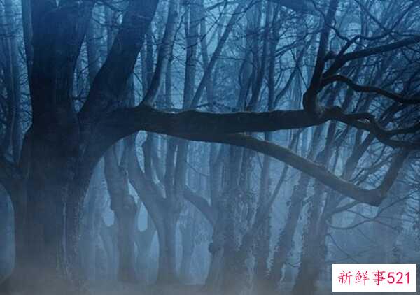 恐惧症有哪些类型？10种堪称奇葩的恐惧症(附图)