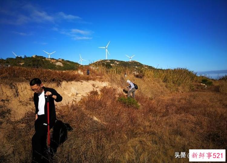福建历史遗址，福建有什么考古发现