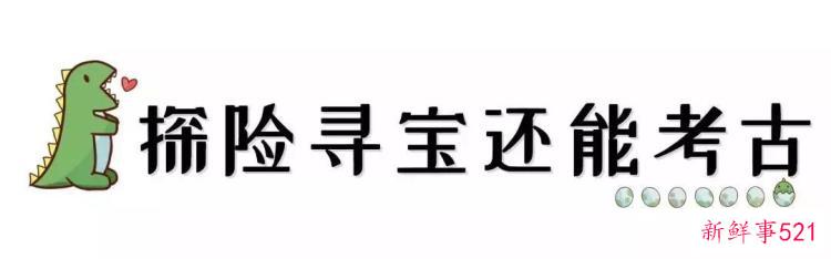 现实版侏罗纪公园来了闽侯南通新开3000考古馆陪娃过暑假
