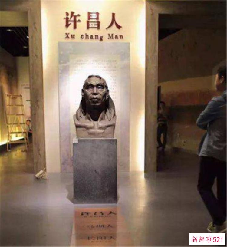 许昌老汉挖出10万年前34宝贝34打破非洲起源说华夏祖先找到了