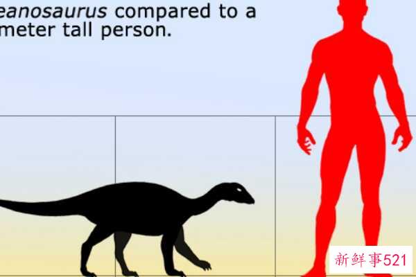 卡龙加龙-非洲巨人泰坦(9米长-仅出土牙齿)