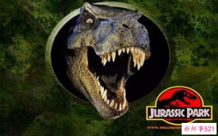 现实版侏罗纪公园来了闽侯南通新开3000考古馆陪娃过暑假