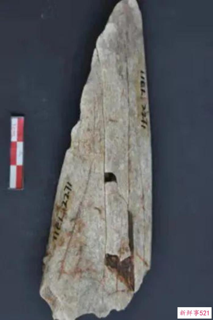 考古研究成果公布揭秘1万年前的郑州现代人，考古史上最尴尬的考古