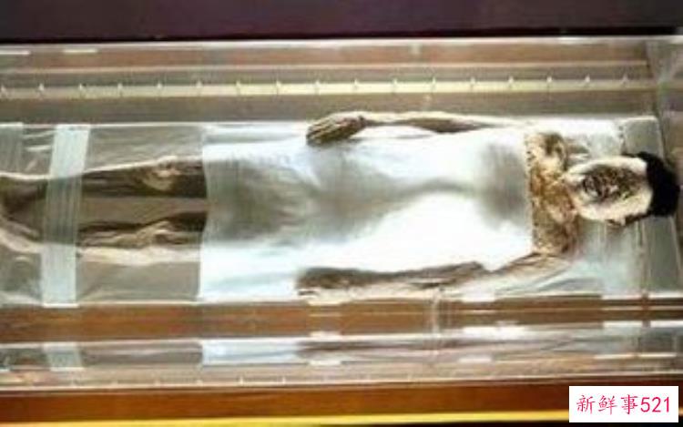 马王堆汉墓墓坑，马王堆背面演示