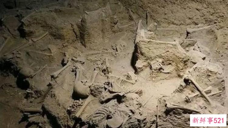 经典传奇村民发现神秘山洞，农村发现神奇洞穴