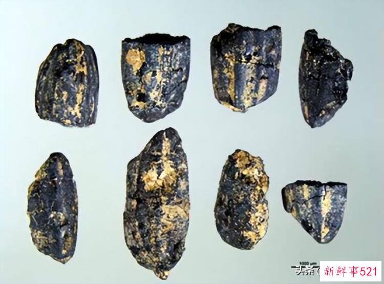 福建历史遗址，福建有什么考古发现