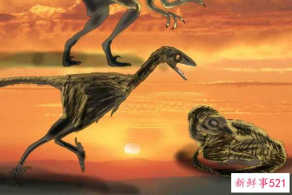 闵米龙-澳大利亚甲龙(仅2米长-背部布满坚硬的瘤鳞)