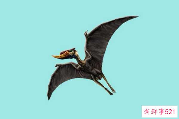 苍龙的祖先是什么动物？不足1米的蜥蜴被迫下水成为霸主
