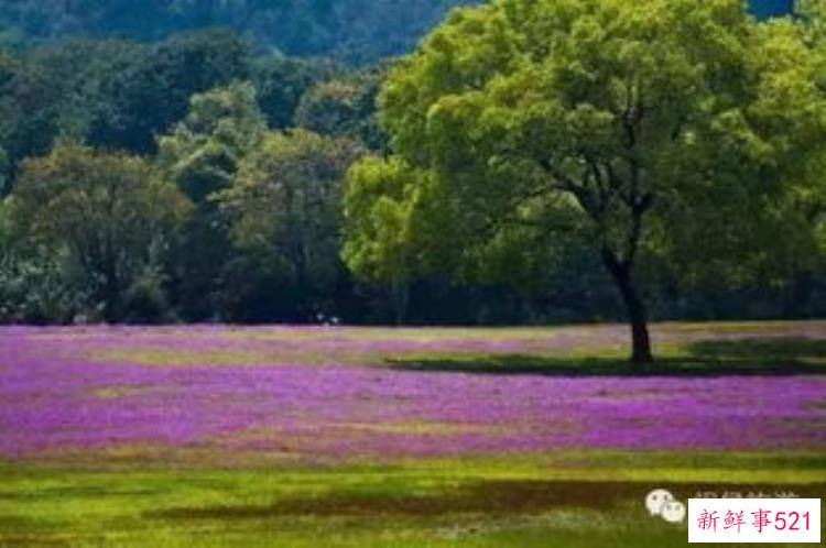 福建的历史遗迹，福州有哪些珍贵文物