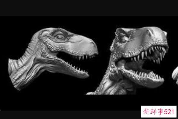 中国斗鱼-龟和蜥蜴的结合体(生活在浅水区-生于三叠纪)