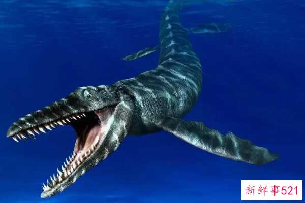 苍龙的祖先是什么动物？不足1米的蜥蜴被迫下水成为霸主