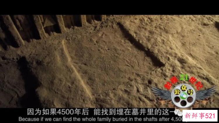 塞加拉陵墓揭秘在哪看，塞加拉陵墓揭秘2020