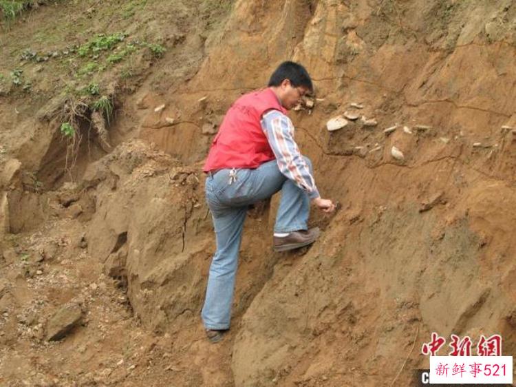 三峡考古发现「结缘三峡考古三十年李大地的转变与见证」