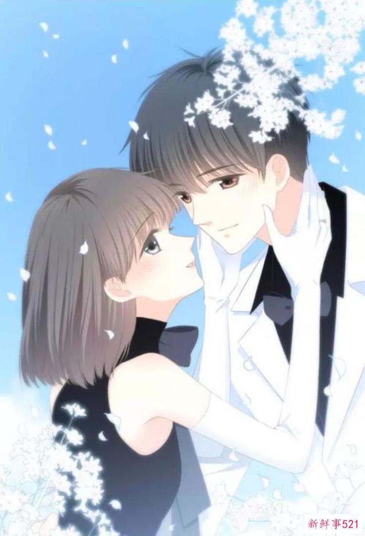 男女主在旅途中相遇的小说，推一波男女主日久生情的优质小说