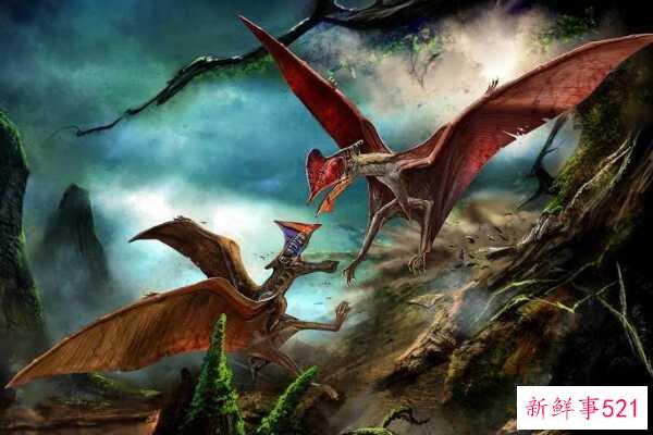 苍龙的祖先是什么动物？不足1米的蜥蜴被迫下水成为霸主