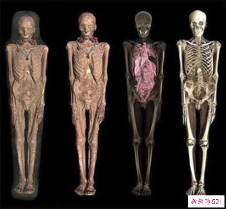 木乃伊的脑子是从鼻子里掏出来的吗，埃及木乃伊墓出土