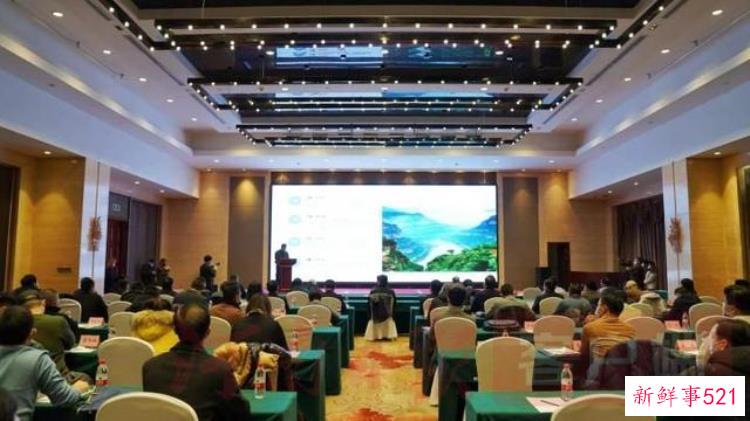 安阳向全国发布曹操高陵遗址博物馆执行馆长招募令够资格你就来